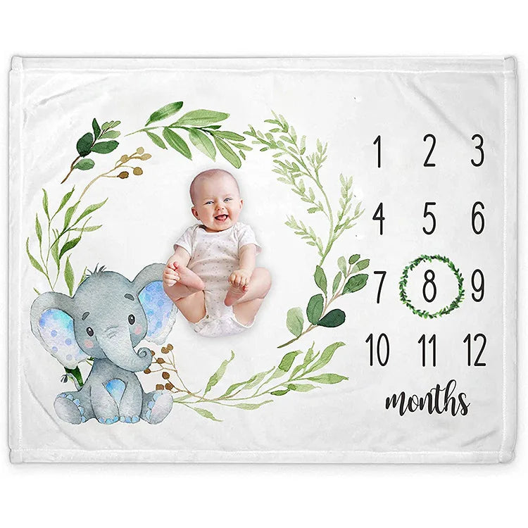 Premium Flannel Blanket Milestone Baby Photography