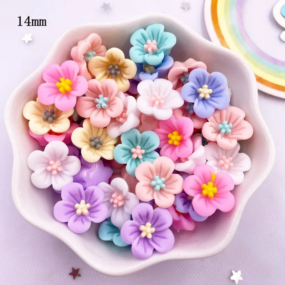 50Pcs Colorful Morning Glory Flower