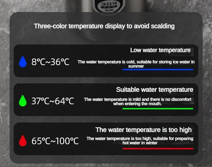 Stainless Steel Thermos Bottle with LED Temperature Display