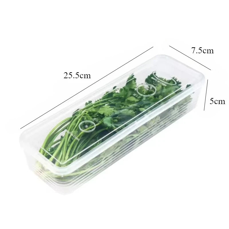 Multi-Pack Food Storage Containers – 2/4pcs Fresh-Keeping Boxes with Lids for Fridge & Kitchen