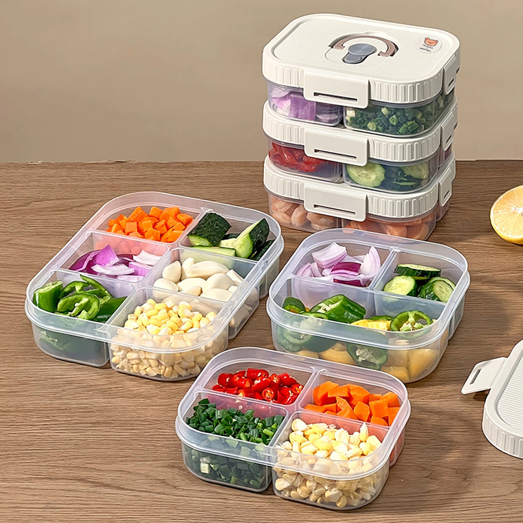 Multi-Grid Ingredient Storage – Plastic Sealed Box for Kitchen & Fridge Use