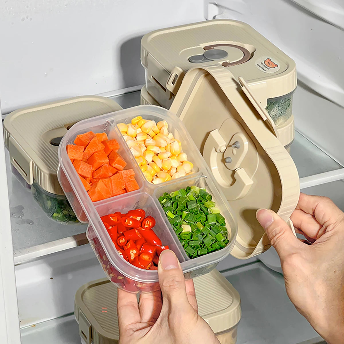 Multi-Grid Ingredient Storage – Plastic Sealed Box for Kitchen & Fridge Use