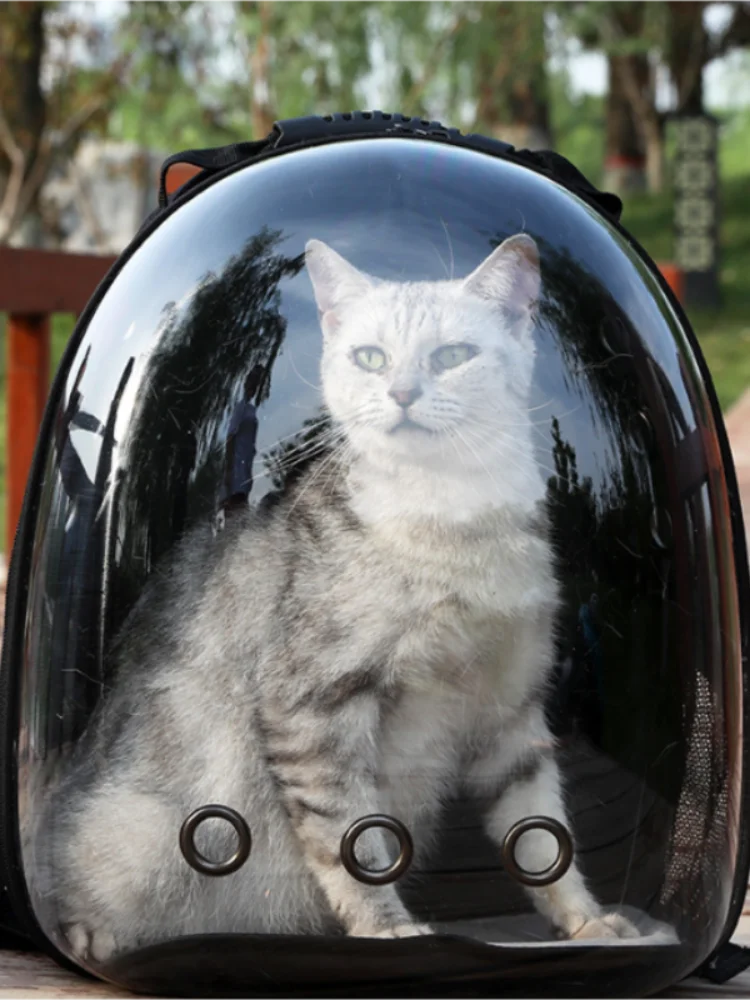Cat Backpack – Transparent Space Capsule Carrier
